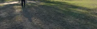 Locandina ragazze e ragazzi che camminano in uno spazio verde