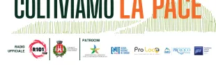 Camminata olivi
