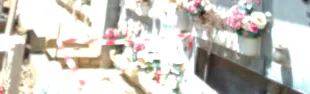 cimitero montefiridolfi