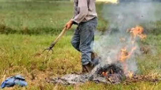 residui vegetali che bruciano