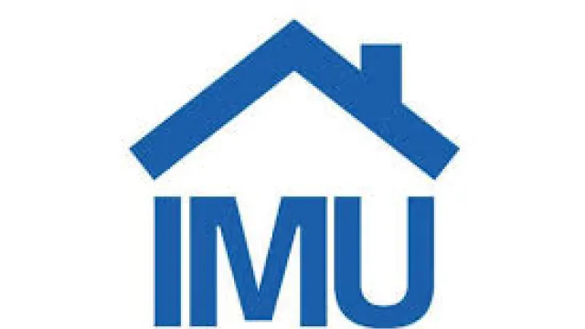 IMU