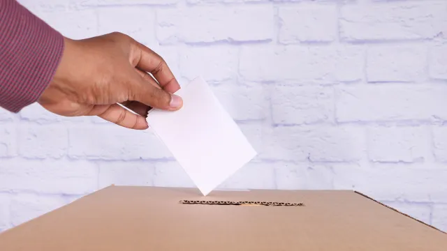 Opzioni referendum estero