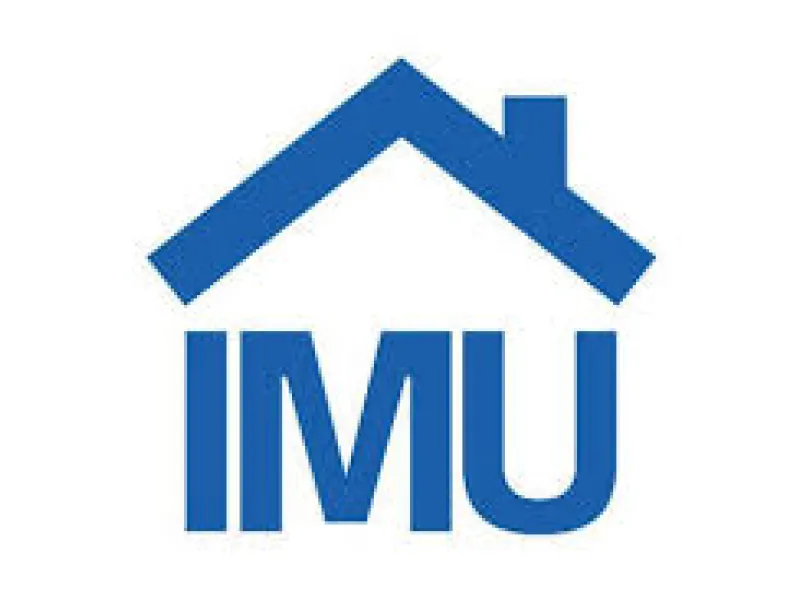 IMU