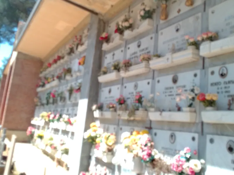 cimitero montefiridolfi