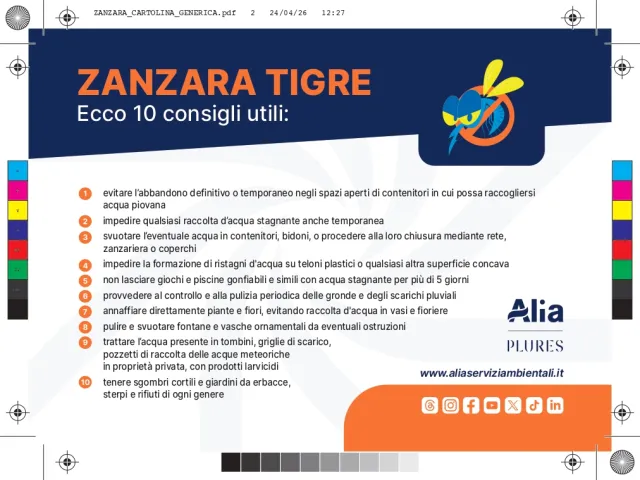 Zanzare