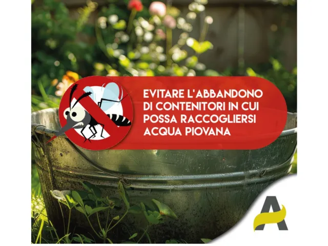 Consigli Alia zanzara tigre 2